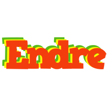 Endre bbq logo