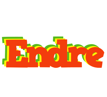 Endre bbq logo