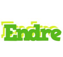 Endre picnic logo