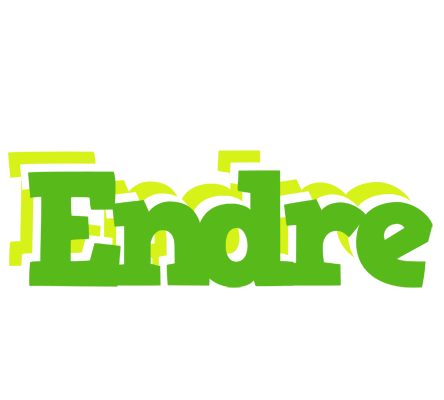 Endre picnic logo