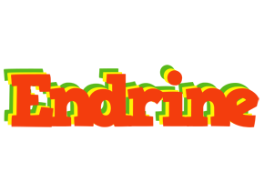 Endrine bbq logo