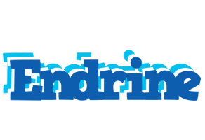 Endrine business logo
