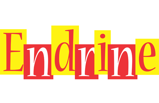 Endrine errors logo