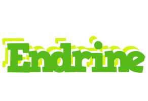 Endrine picnic logo