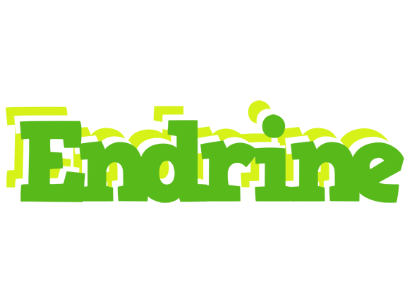 Endrine picnic logo
