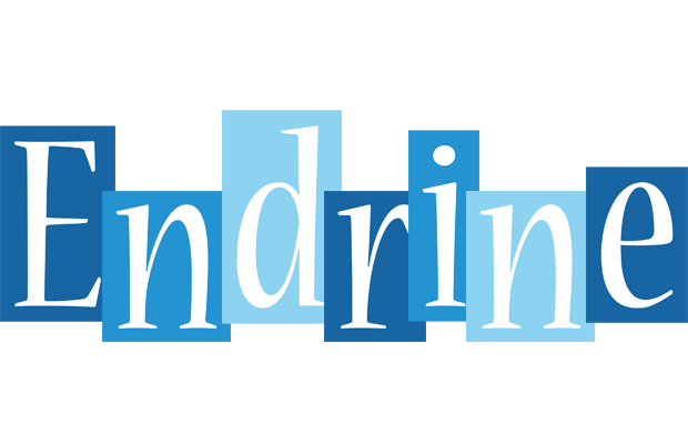 Endrine winter logo