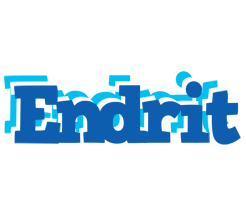 Endrit business logo