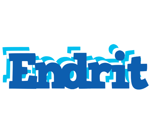 Endrit business logo