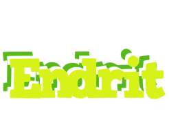Endrit citrus logo
