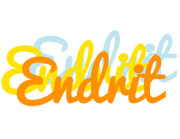 Endrit energy logo