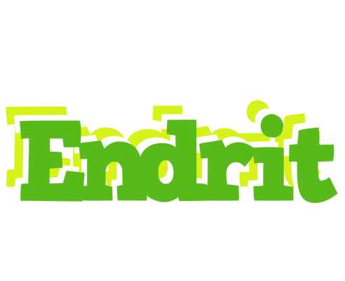 Endrit picnic logo