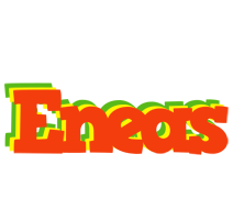 Eneas bbq logo