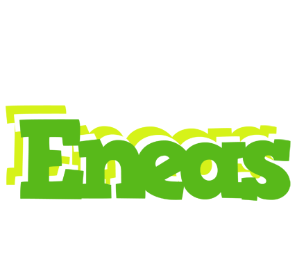 Eneas picnic logo