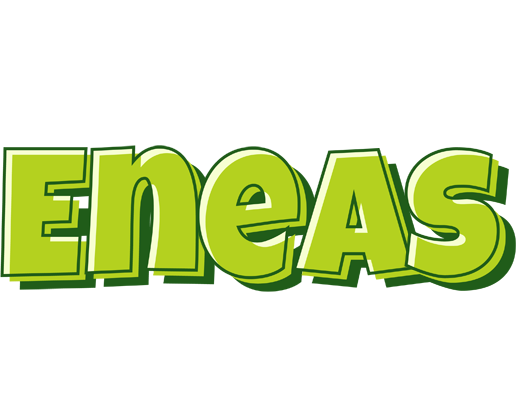 Eneas summer logo