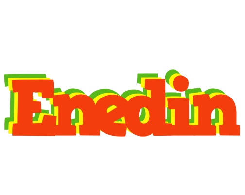 Enedin bbq logo