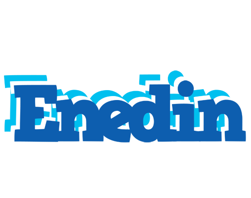 Enedin business logo