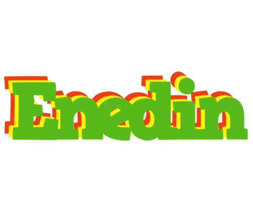 Enedin crocodile logo