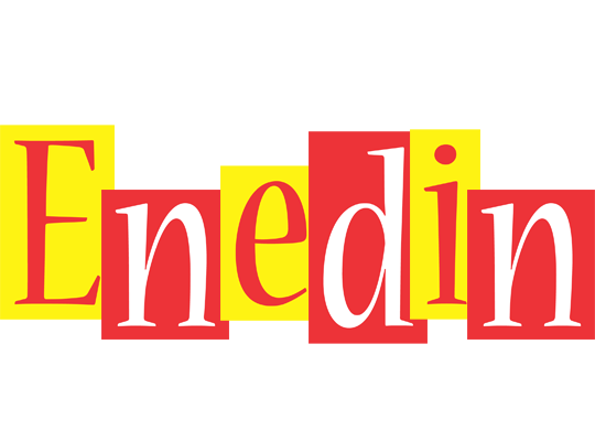 Enedin errors logo