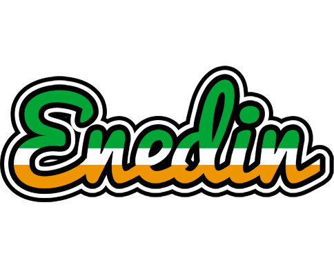 Enedin ireland logo