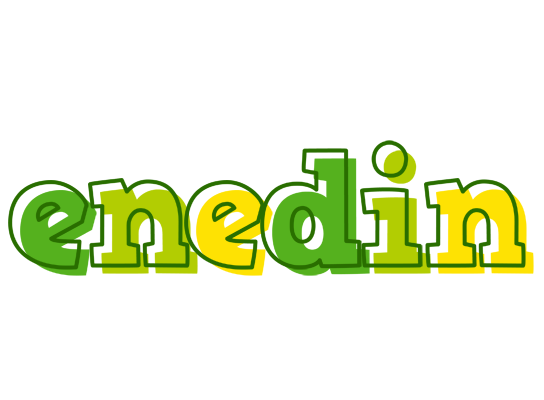 Enedin juice logo