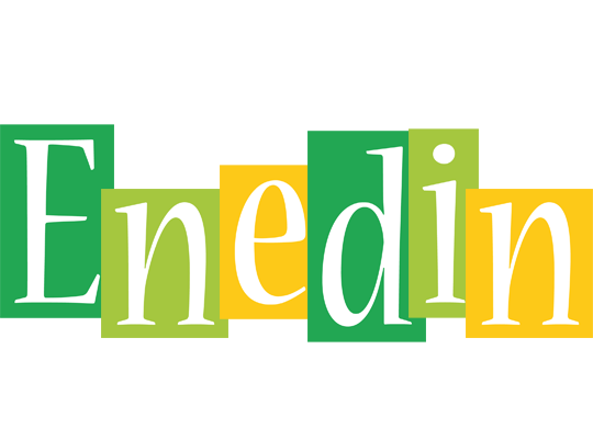 Enedin lemonade logo