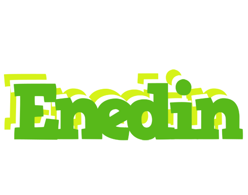 Enedin picnic logo