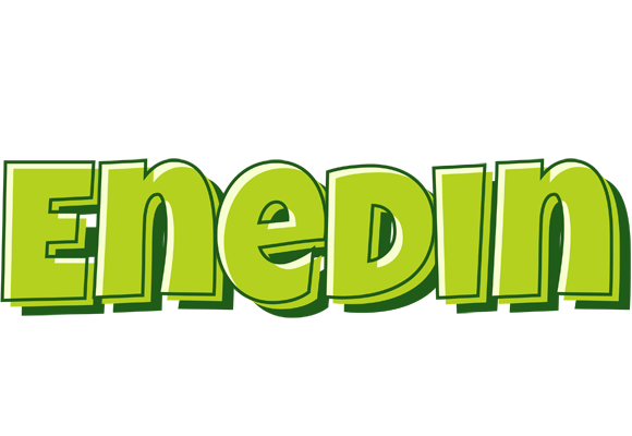 Enedin summer logo