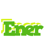 Ener picnic logo