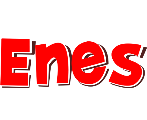 Enes basket logo