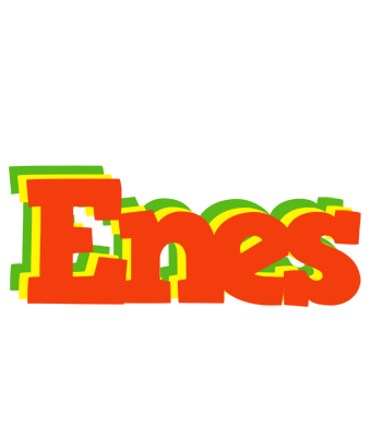 Enes bbq logo