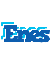 Enes business logo