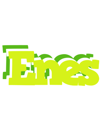 Enes citrus logo