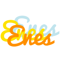 Enes energy logo