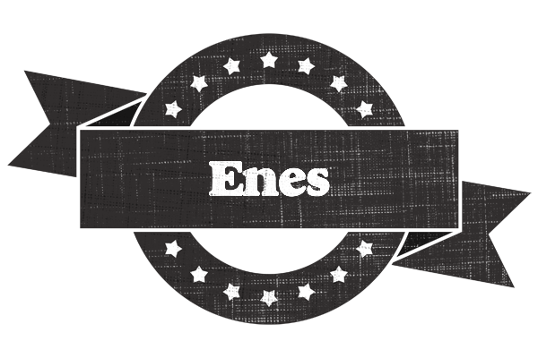 Enes grunge logo