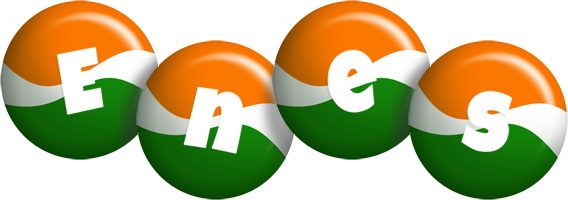 Enes india logo