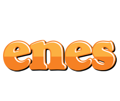 Enes orange logo