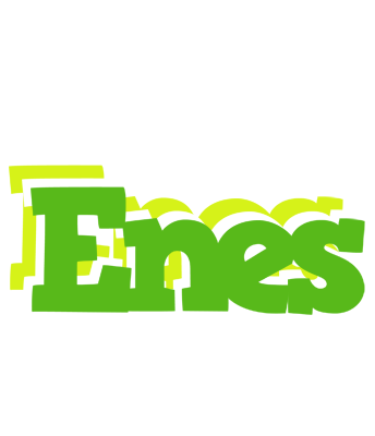 Enes picnic logo