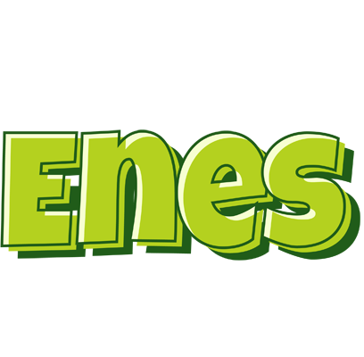 Enes summer logo