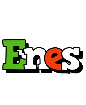 Enes venezia logo