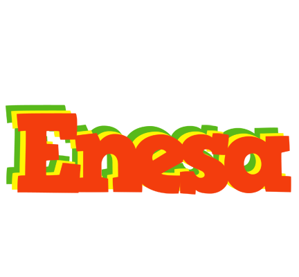 Enesa bbq logo
