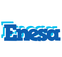 Enesa business logo