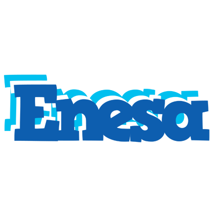 Enesa business logo