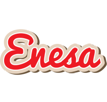 Enesa chocolate logo
