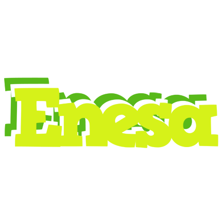 Enesa citrus logo