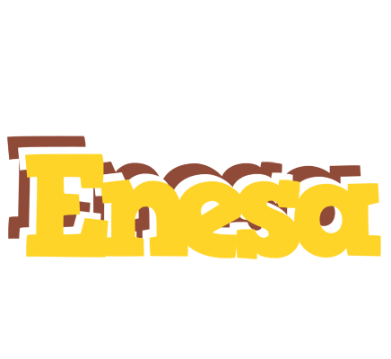 Enesa hotcup logo