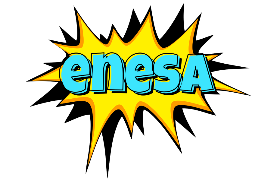 Enesa indycar logo