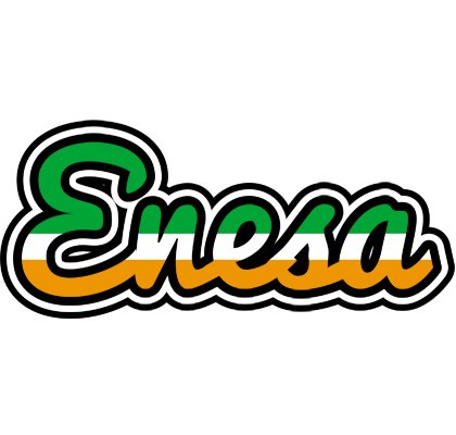 Enesa ireland logo