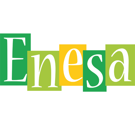 Enesa lemonade logo
