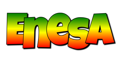 Enesa mango logo