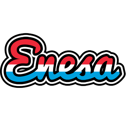 Enesa norway logo